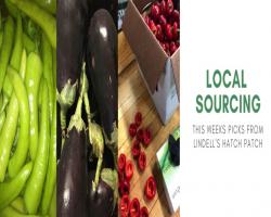 images/gallery/HATCH PATCH.jpg